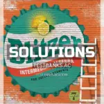 Solutions Manual for Intermediate Algebra for College Students 7th Edition by Blitzer