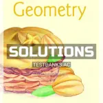 Solutions Manual for Geometry 1st Edition by Martin Gay