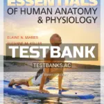 Test Bank for Essentials of Human Anatomy and Physiology 12th Edition by Marieb