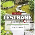 Test Bank for Problem Solving with C++ 10th Edition by Savitch