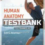 Test Bank for Human Anatomy and Physiology 2nd Edition by Amerman