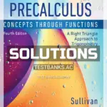 Solutions Manual for Precalculus Concepts Through Functions A Right Triangle Approach to Trigonometry 4th Edition by Sullivan