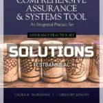 Solutions Manual for Assurance Practice Set for Comprehensive Assurance and Systems Tool CAST 4th Edition by Ingraham