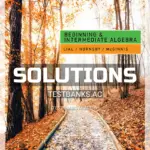 Solutions Manual for Beginning and Intermediate Algebra 7th Edition by Lial