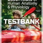 Test Bank for Essentials of Human Anatomy and Physiology 13th Edition by Marieb