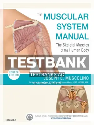 Test Bank for Muscular System Manual 4th Edition by Muscolino