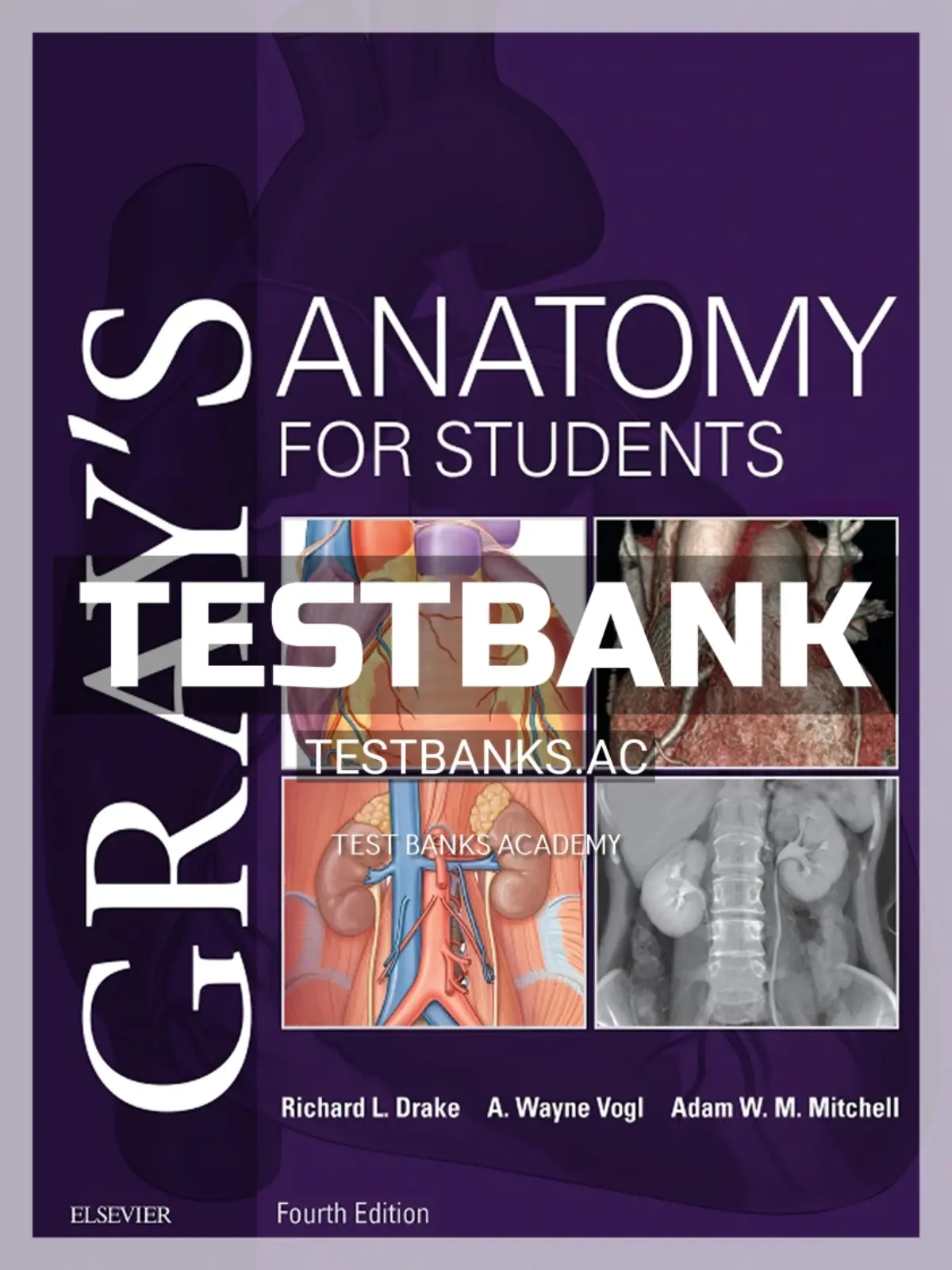 Organ Amazon Greys Anatomy Gray's Anatomy (Barnes Noble
