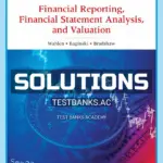 Solutions Manual for Financial Reporting Financial Statement Analysis and Valuation 10th Edition by Wahlen