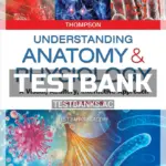 Test Bank for Understanding Anatomy and Physiology 3rd Edition by Thompson