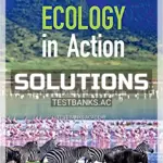 Solutions Manual for Ecology in Action 1st Edition by Singer