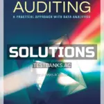 Solutions Manual for Auditing A Practical Approach with Data Analytics Enhanced eText 1st Edition by Johnson