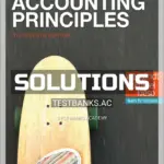 Solutions Manual for Accounting Principles 13th Edition by Weygandt