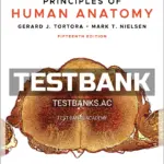 Test Bank for Principles of Human Anatomy 15th Edition by Tortora