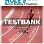 Test Bank for Hole's Human Anatomy & Physiology 15th Edition by Shier