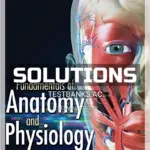 Solutions Manual for Fundamentals of Anatomy and Physiology 4th Edition by Rizzo