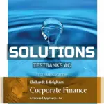 Solutions Manual for Corporate Finance A Focused Approach 6th Edition by Ehrhardt