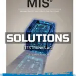 Solutions Manual for MIS 9th Edition by Bidgoli