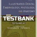 Test Bank for Illustrated Dental Embryology Histology and Anatomy 4th Edition by Fehrenbach