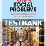 Test Bank for Seeing Social Problems The Hidden Stories Behind Contemporary Issues 1st Edition by Silver