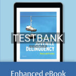 Test Bank for Juvenile Delinquency Theory to Practice 1st US Edition by McNamara