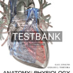 Test Bank for Anatomy and Physiology 1st US Edition by Jenkins