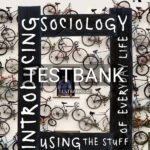 Test Bank for Introducing Sociology Using the Stuff of Everyday Life 1st US Edition by Johnston