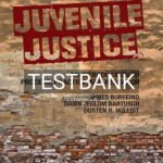 Test Bank for Juvenile Justice 1st US Edition by Burfeind