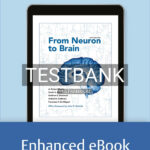 Test Bank for From Neuron to Brain 6th US Edition by Martin