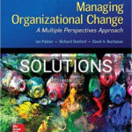 Solutions for Managing Organizational Change A Multiple Perspectives Approach 3rd Edition by Palmer