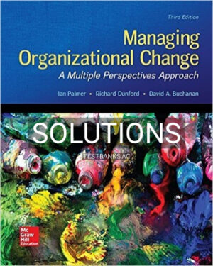 Solutions for Managing Organizational Change A Multiple Perspectives Approach 3rd Edition by Palmer