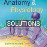 Solutions for Anatomy and Physiology 6th Edition by Marieb