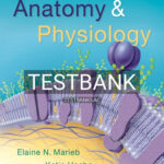 Test Bank for Anatomy and Physiology 6th Edition by Marieb