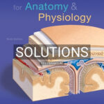 Solutions for Laboratory Manual for Anatomy and Physiology 6th Edition by Marieb