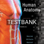 Test Bank for Human Anatomy 8th Edition by Marieb