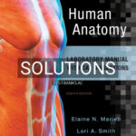 Solutions for Human Anatomy Laboratory Manual with Cat Dissections 8th Edition by Marieb