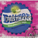 Test Bank for Developmental Mathematics 1st Edition by Blitzer