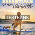 Test Bank for Essentials of Human Anatomy and Physiology 12th Edition by Marieb