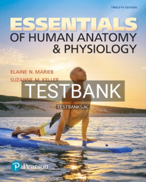 Test Bank for Essentials of Human Anatomy and Physiology 12th Edition by Marieb