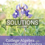Solutions for College Algebra with Intermediate Algebra A Blended Course 1st Edition by Beecher