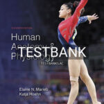 Test Bank for Human Anatomy and Physiology 11th Edition by Marieb