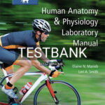 Test Bank for Human Anatomy and Physiology Laboratory Manual Cat Version 13th Edition by Marieb