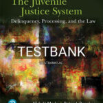 Test Bank for Juvenile Justice System Delinquency Processing and the Law 9th Edition by Merlo