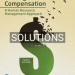 Solutions for Strategic Compensation A Human Resource Management Approach 10th Edition by Martocchio