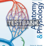 Test Bank for Anatomy & Physiology 7th Edition by Marieb