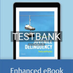 Test Bank for Juvenile Delinquency Theory to Practice 1st Edition by McNamara
