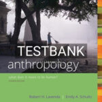 Test Bank for Anthropology What Does it Mean to Be Human 4th Edition by Lavenda