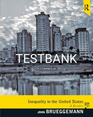 Test Bank for Inequality in the United States 1st Edition by Brueggemann