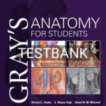 Test Bank for Gray's Anatomy for Students 4th Edition by Drake