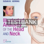 Test Bank for Illustrated Anatomy of the Head and Neck 5th Edition by Fehrenbach