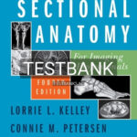 Test Bank for Sectional Anatomy for Imaging Professionals 4th Edition by Kelley